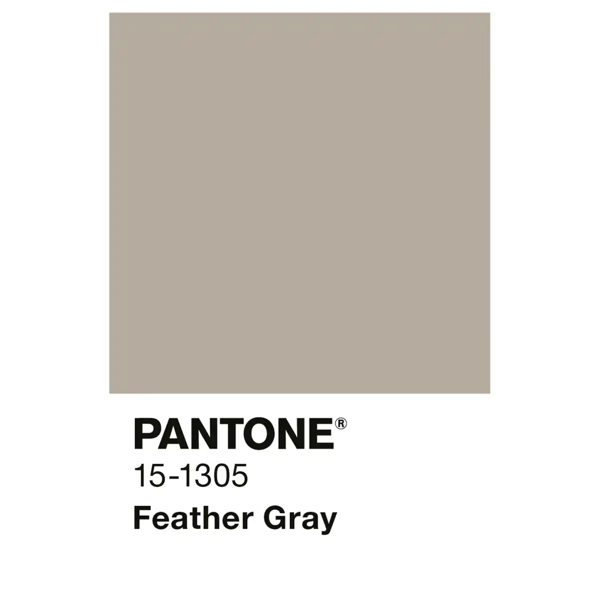 Bild 2 von ALPINA Wandfarbe »PANTONE«, Feather Gray, matt, 2,5 l