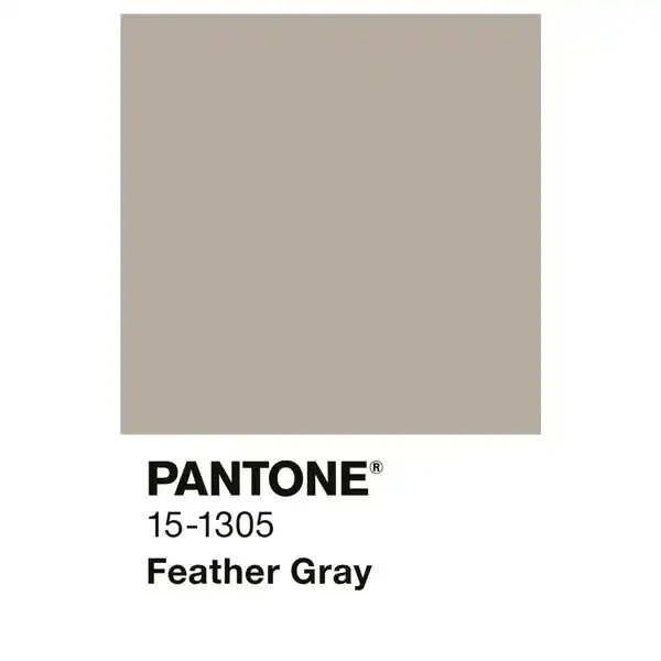 Bild 2 von ALPINA Wandfarbe »PANTONE«, Feather Gray, matt, 2,5 l
