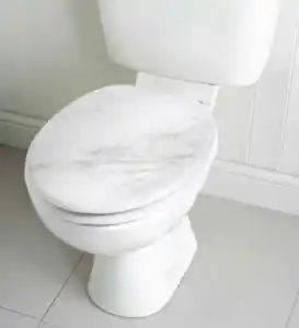 WC Sitz Holz mit Soft Close Mamor weiß
