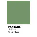 Bild 3 von ALPINA Wandfarbe »PANTONE«, Green Eyes, matt, 2,5 l