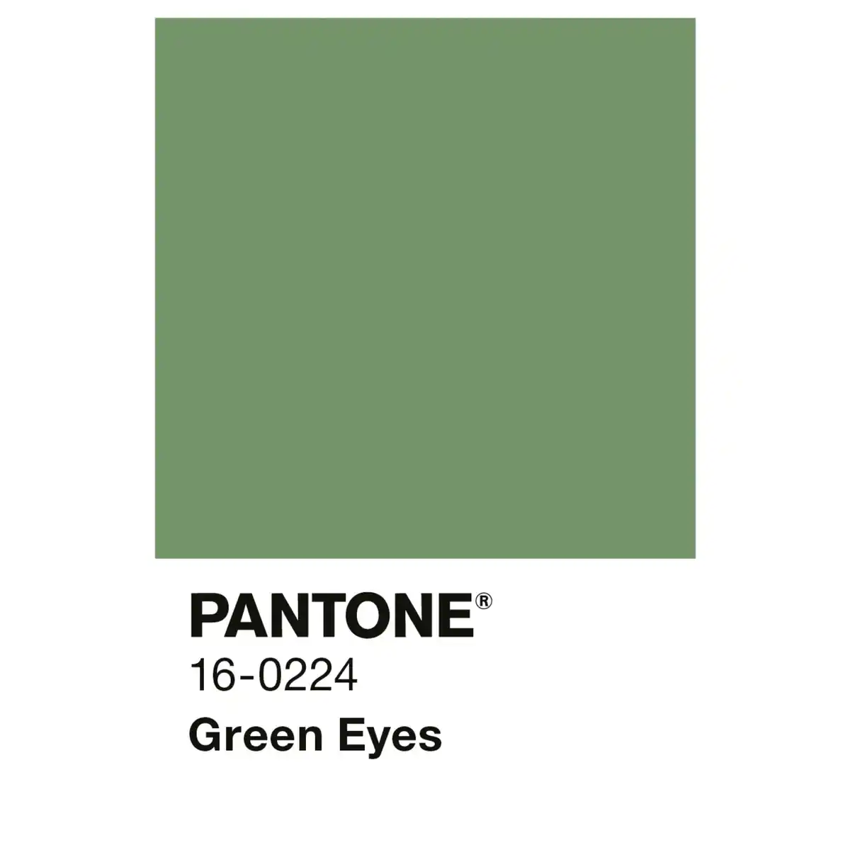 Bild 3 von ALPINA Wandfarbe »PANTONE«, Green Eyes, matt, 2,5 l