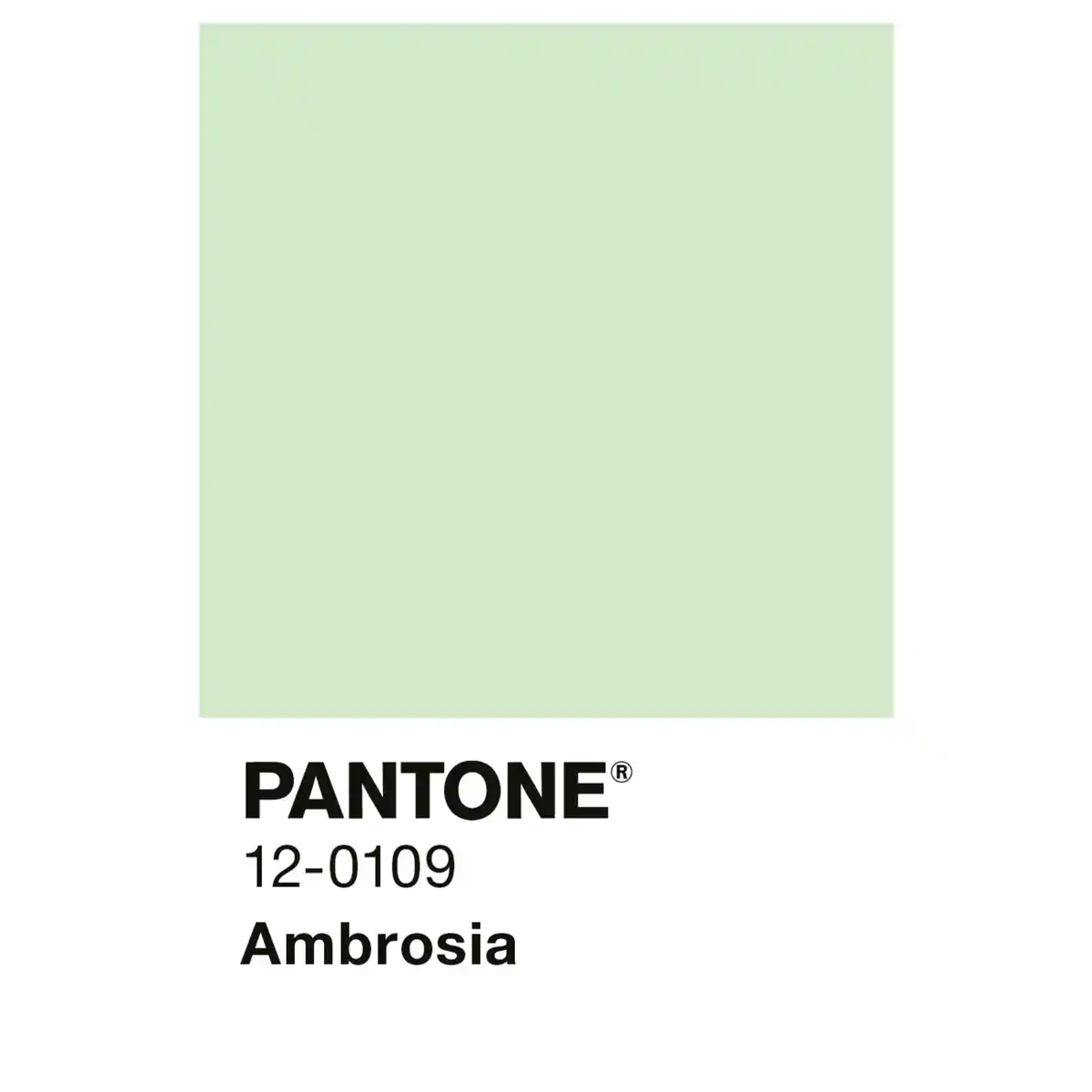 Bild 4 von ALPINA Wandfarbe »PANTONE«, Ambrosia, matt, 2,5 l