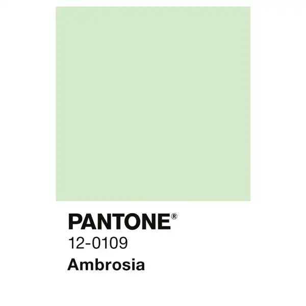 Bild 4 von ALPINA Wandfarbe »PANTONE«, Ambrosia, matt, 2,5 l