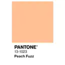 Bild 2 von ALPINA Wandfarbe »PANTONE«, Peach Fuzz, matt, 2,5 l