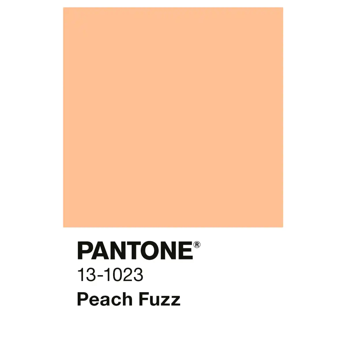 Bild 2 von ALPINA Wandfarbe »PANTONE«, Peach Fuzz, matt, 2,5 l
