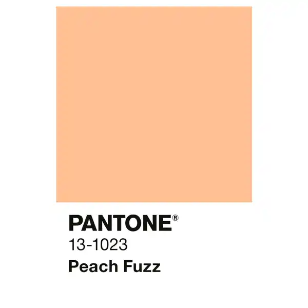 Bild 2 von ALPINA Wandfarbe »PANTONE«, Peach Fuzz, matt, 2,5 l