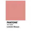 Bild 3 von ALPINA Wandfarbe »PANTONE«, Lobster Bisque, matt, 2,5 l