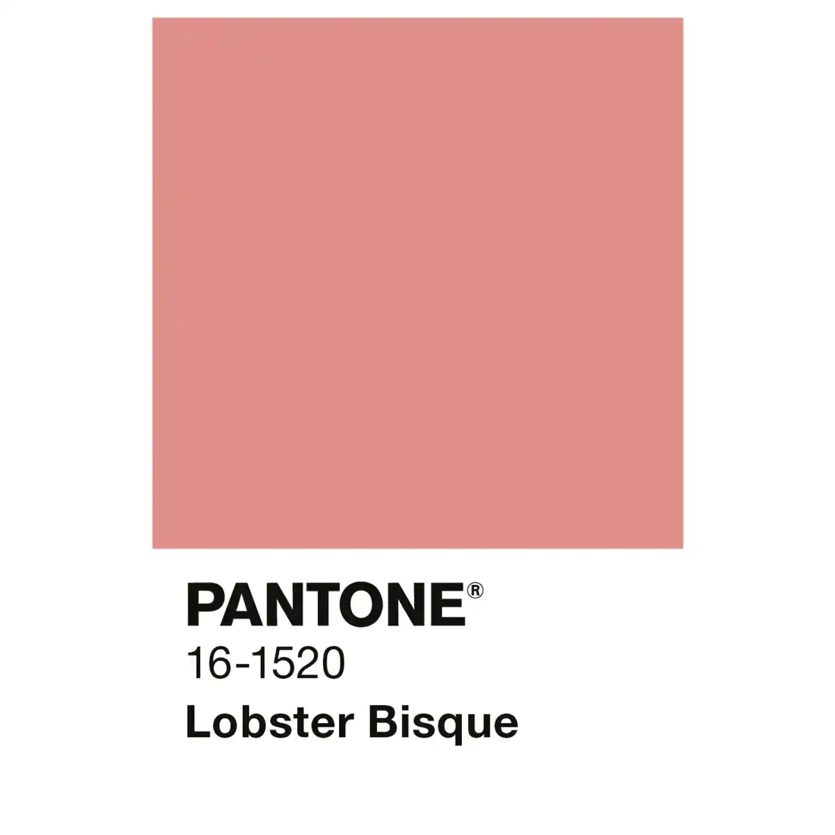 Bild 3 von ALPINA Wandfarbe »PANTONE«, Lobster Bisque, matt, 2,5 l