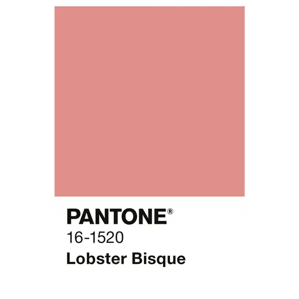 Bild 3 von ALPINA Wandfarbe »PANTONE«, Lobster Bisque, matt, 2,5 l