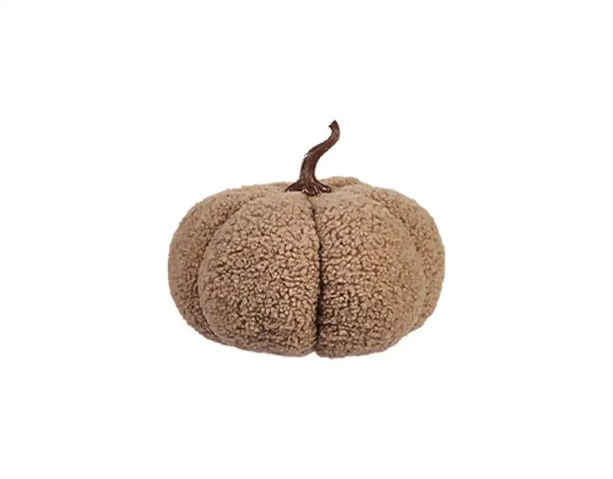 Bild 2 von Teddy Kürbis