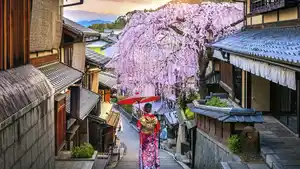 Japan Ginkgo - Rundreise
