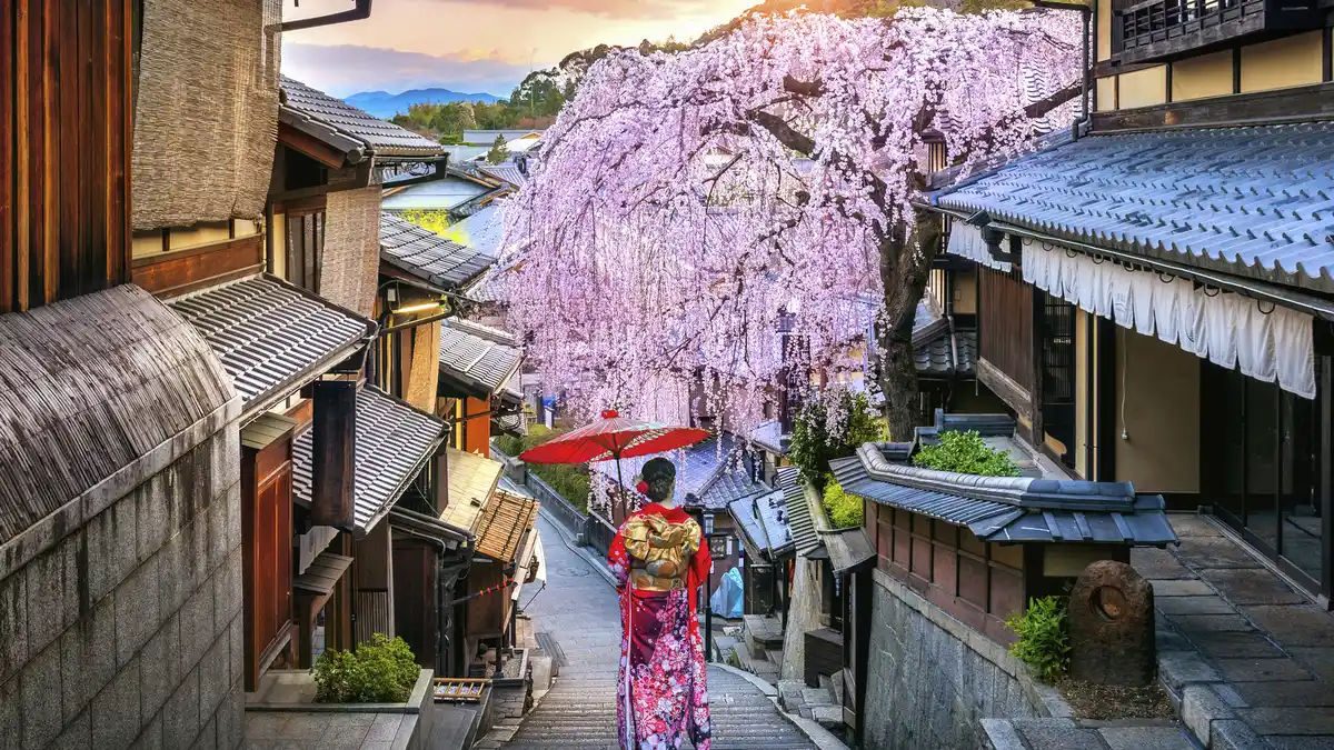 Bild 1 von Japan Ginkgo - Rundreise