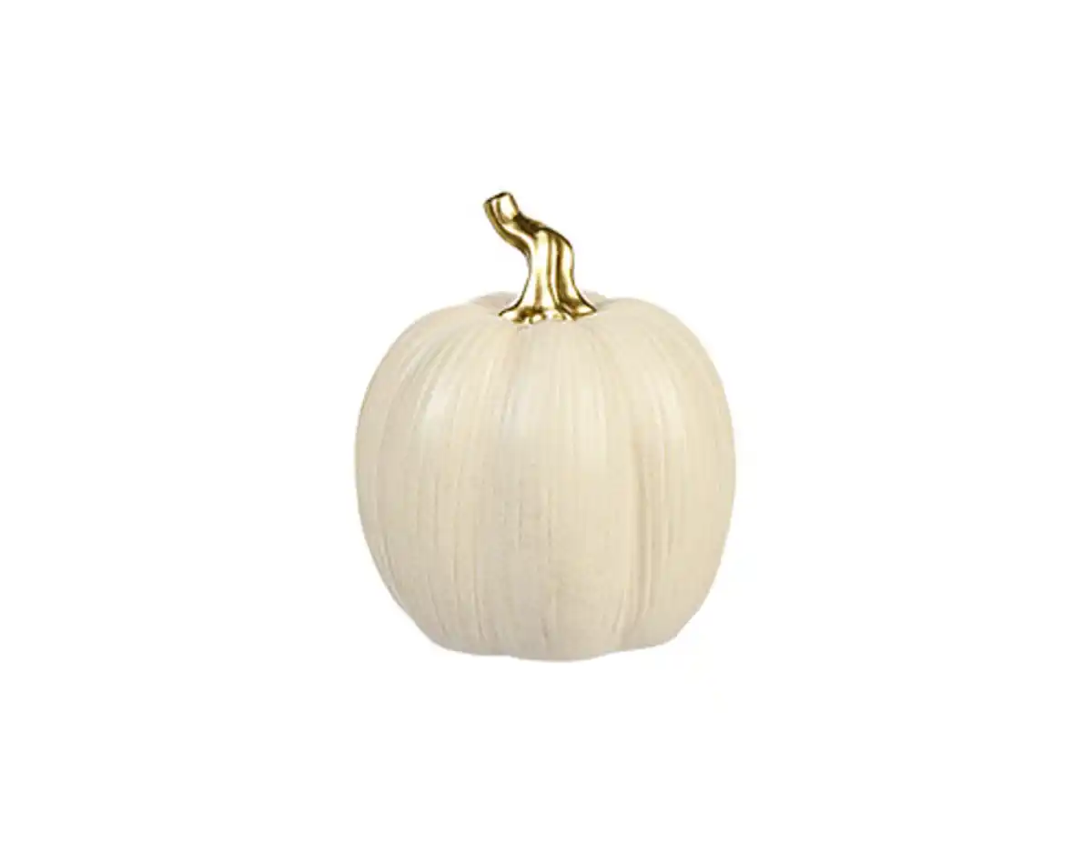 Bild 1 von Deko-Kürbis