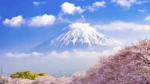 Japan Geisha - Rundreise