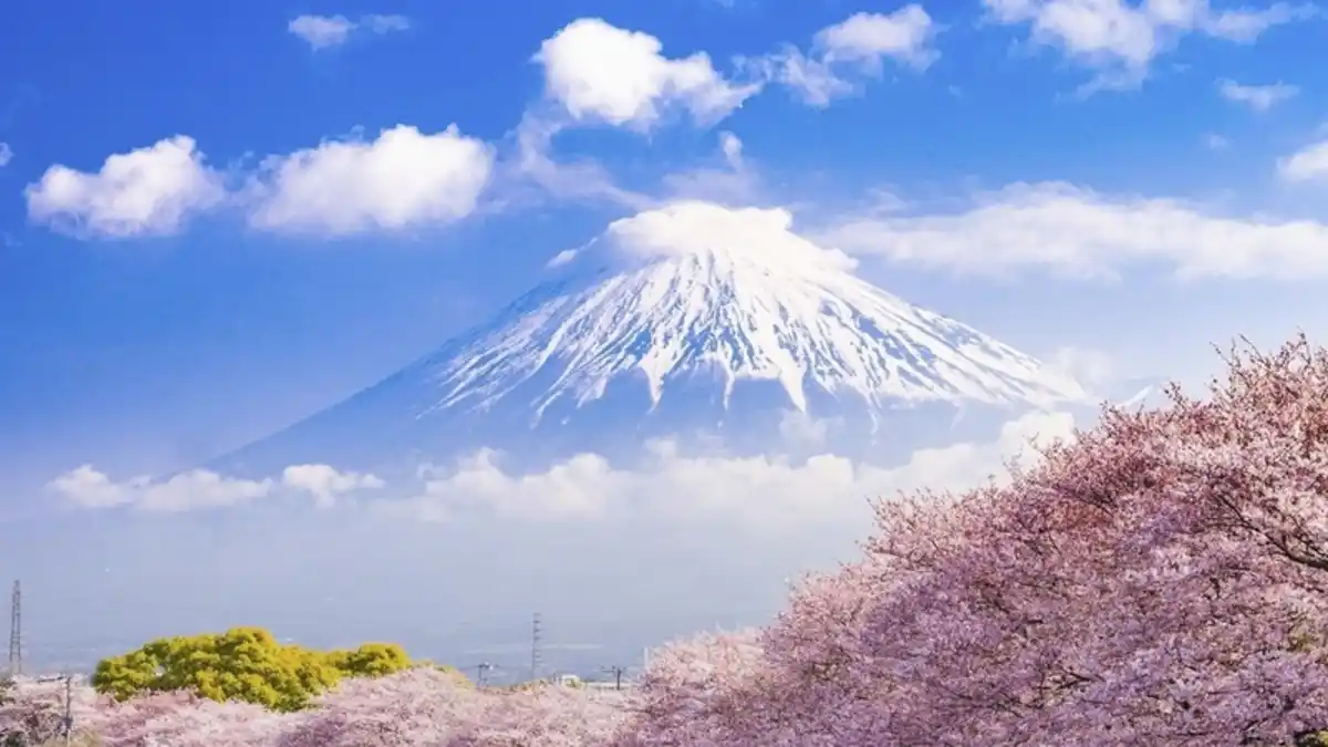 Bild 1 von Japan Geisha - Rundreise