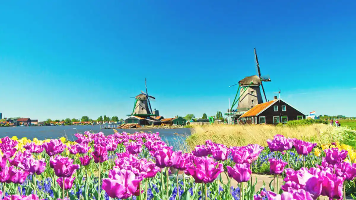 Bild 1 von Kreuzfahrten Niederlande: Flusskreuzfahrt per Rad & Schiff mit der Arkona oder MS Poseidon ab/an Amsterdam