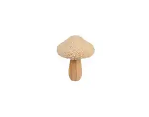 Teddy Pilz