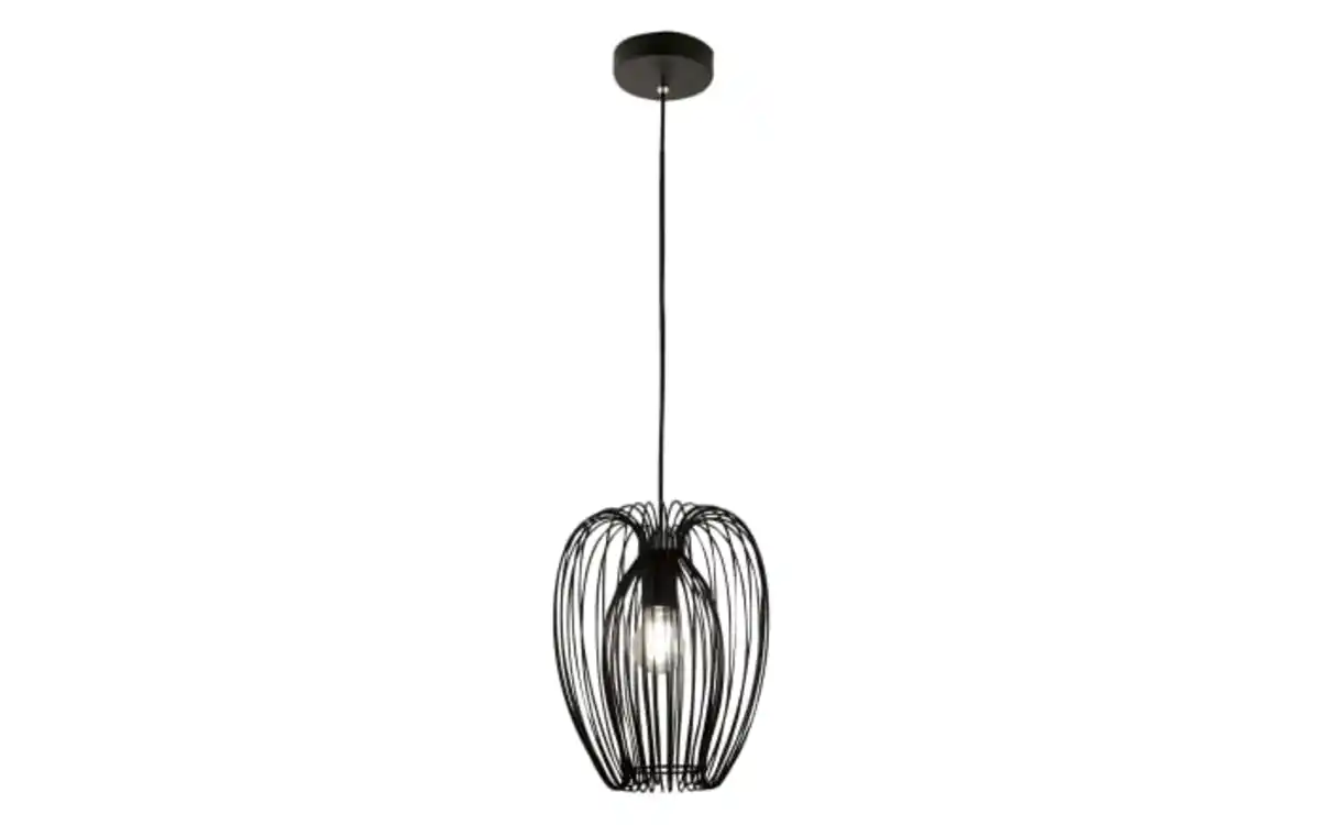 Bild 1 von Pendelleuchte Camp, schwarz, 1-flammig, 25 cm