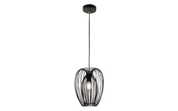 Bild 1 von Pendelleuchte Camp, schwarz, 1-flammig, 25 cm