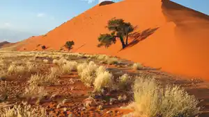 Rundreisen Namibia: Weite Horizonte, wilde Schönheit