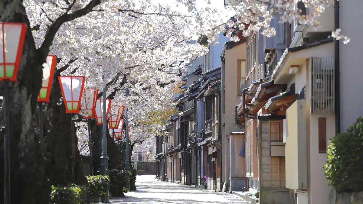 Bild 1 von Japan Maiko - Kleingruppenrundreise