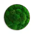 Bild 1 von Xxxl Moosbild Stylegreen, Grün, Naturmaterialien, 3-teilig, 10 cm, einfache und schnelle Anbringung, pflegefrei – nicht gießen oder besprühen, keine Beleuchtung notwendig, Bilder und Zubehör, M