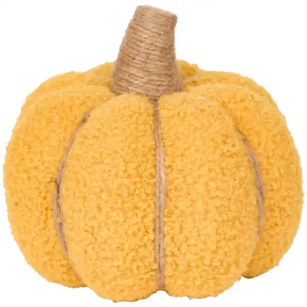 Bild 3 von Teddy-Kürbis