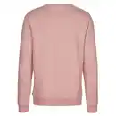 Bild 2 von FJÄLLRÄVEN LOGO SWEATER M Herren - Sweatshirt