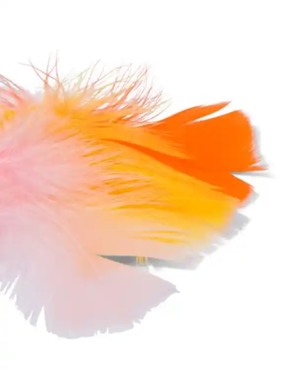 Bild 3 von 100er-Pack Federn