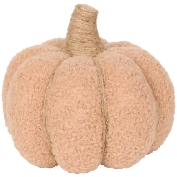 Bild 4 von Teddy-Kürbis