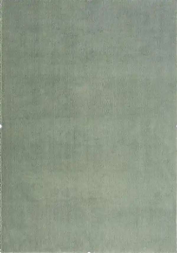 Bild 1 von Hochflorteppich Nemo 4 Grün ca. 160x230cm, Grün