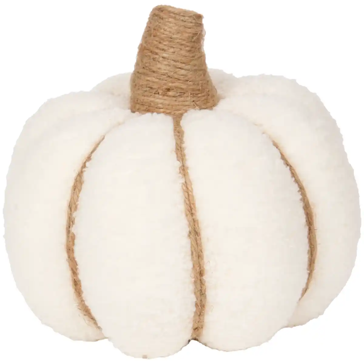 Bild 2 von Teddy-Kürbis