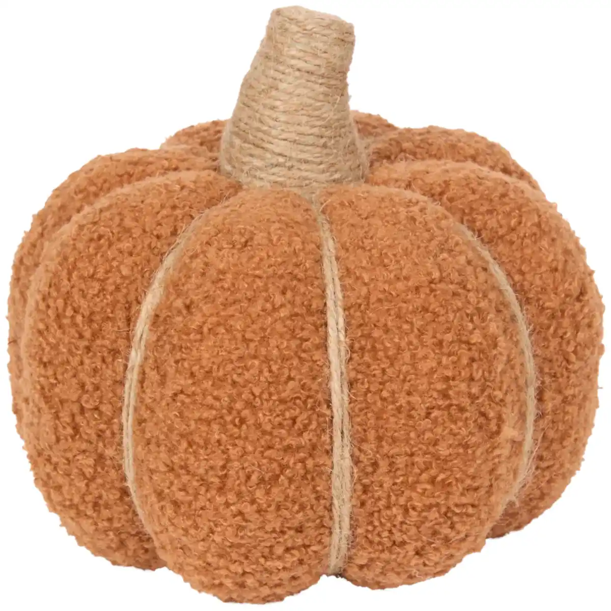 Bild 1 von Teddy-Kürbis