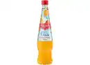 Bild 1 von Mautner Fruchtsirup Orange-Mango