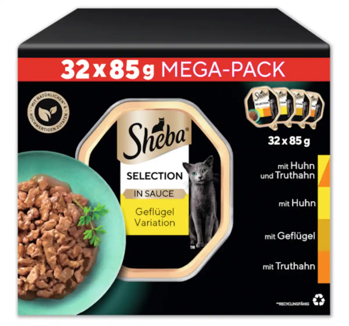 Bild 1 von SHEBA Selection*