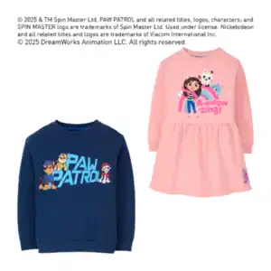 Sweatkleid / Sweatshirt