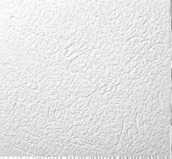 Bild 1 von Styropor-Deckenplatten