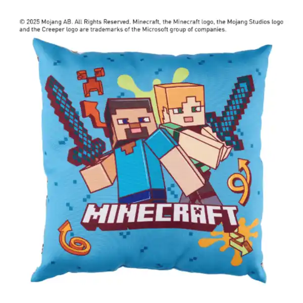 Bild 4 von Kissen / Fleecedecke