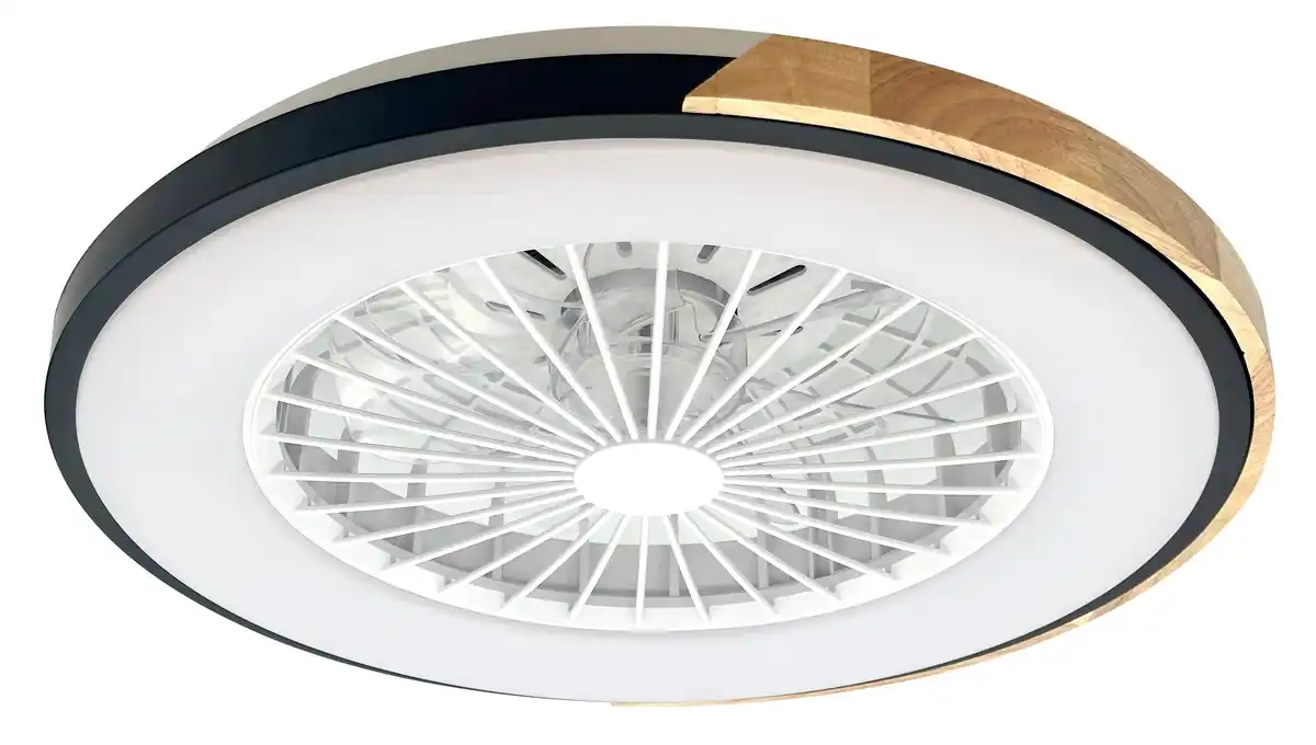 Bild 1 von LED-Deckenventilator Fabian 48W warmweiß-kaltweiß