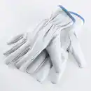 Bild 3 von Powertec Garden Ziegenlederhandschuhe