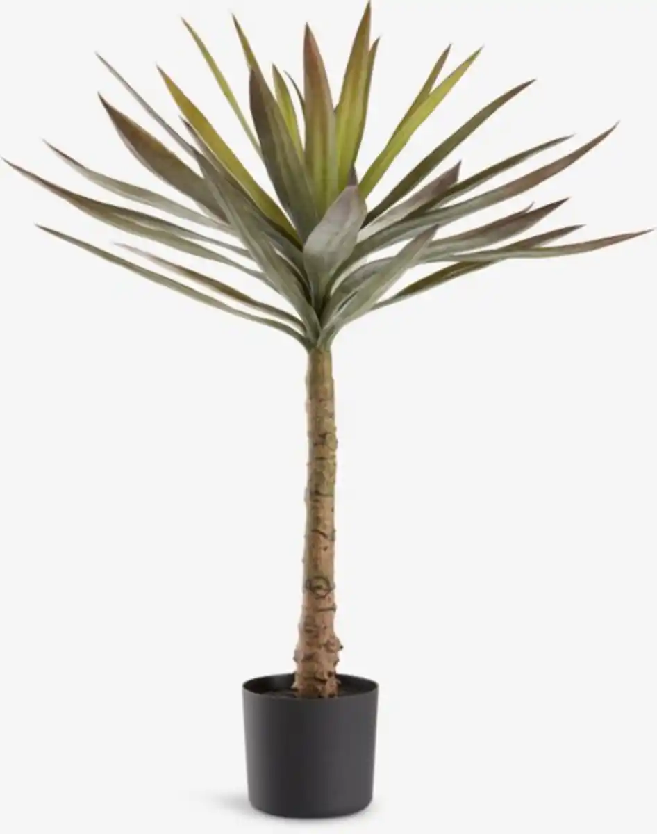 Bild 1 von Kunstpflanze ALAN Ø60xH75 cm grün