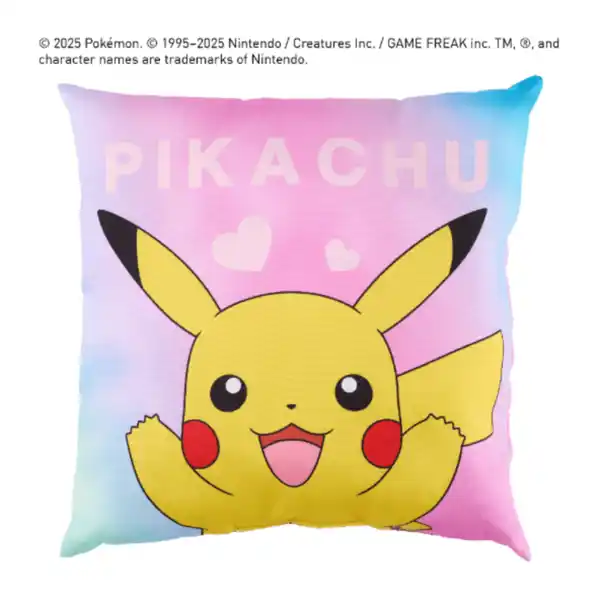 Bild 2 von Kissen / Fleecedecke