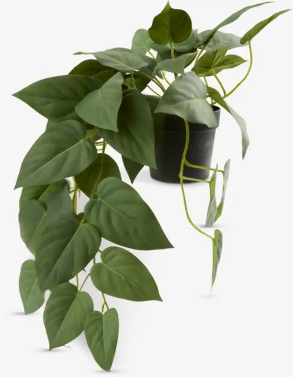 Bild 1 von Kunstpflanze ANDERSEN L43cm hängend