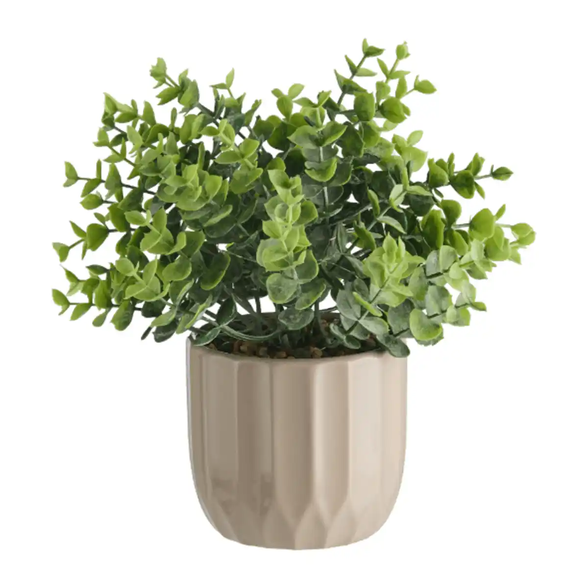 Bild 4 von HOME CREATION LED-Kunstpflanze