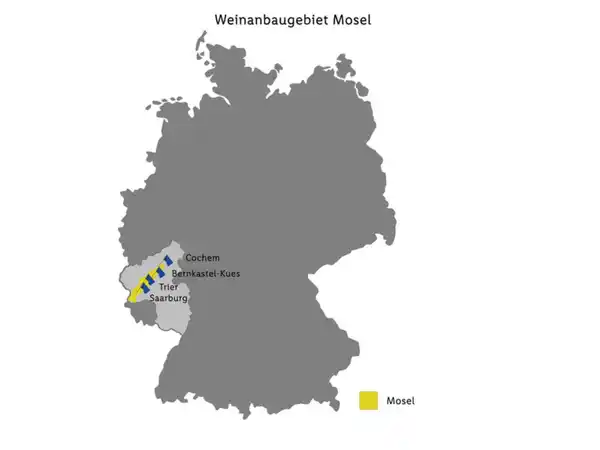 Bild 3 von Maybach Riesling süss & fruchtig Pfalz QbA süß, Weißwein 2024