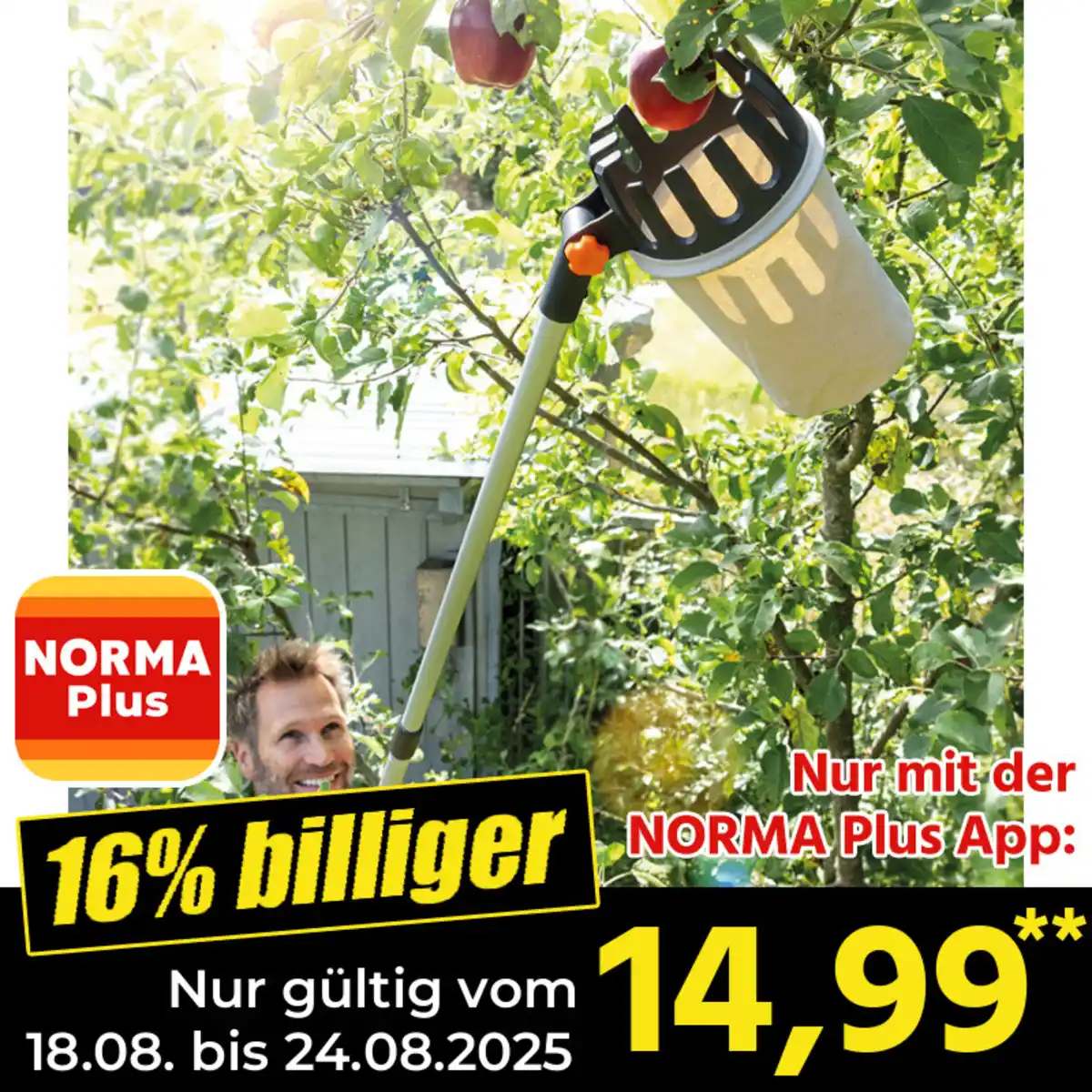 Bild 1 von Powertec Garden Teleskop-Obstpflücker