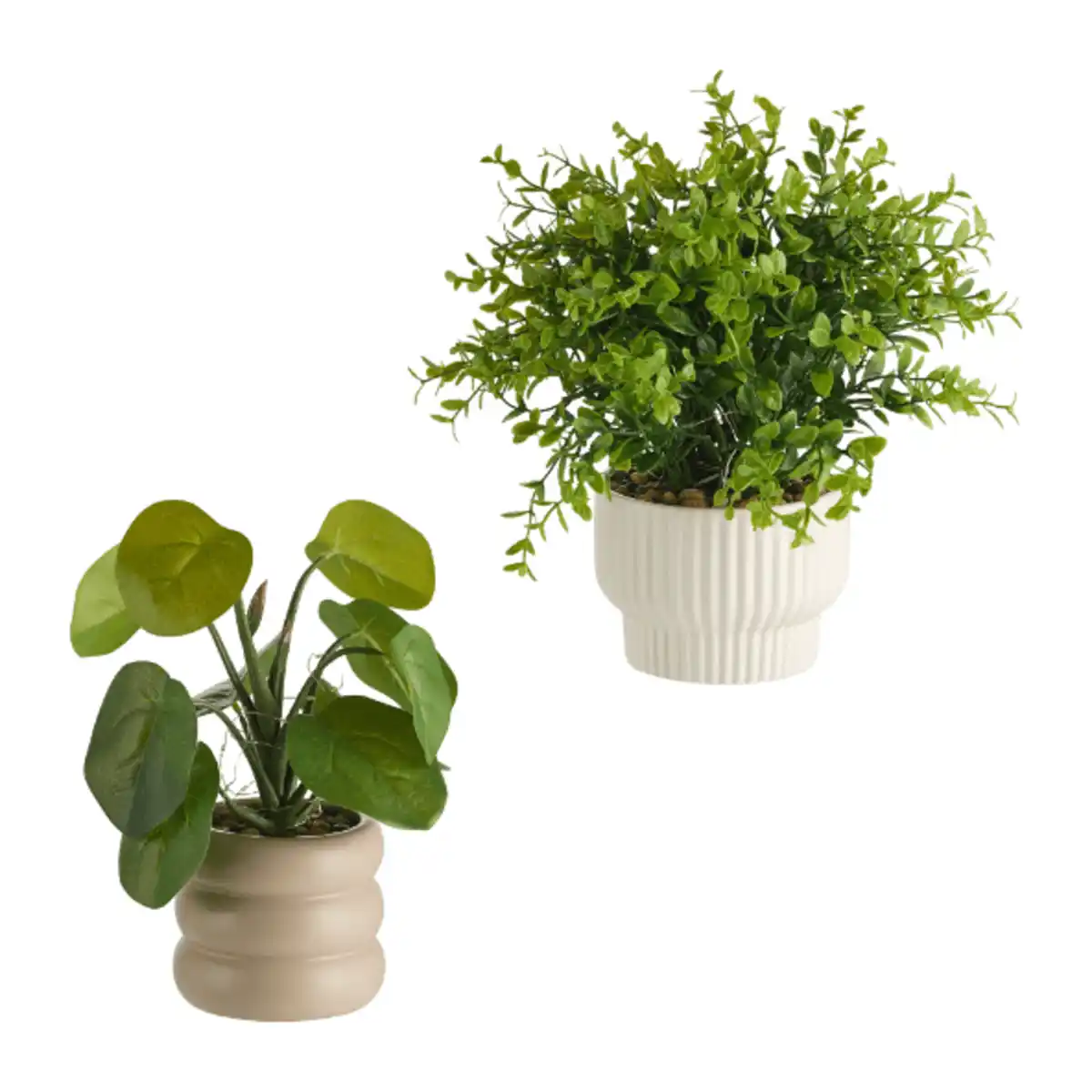 Bild 1 von HOME CREATION LED-Kunstpflanze