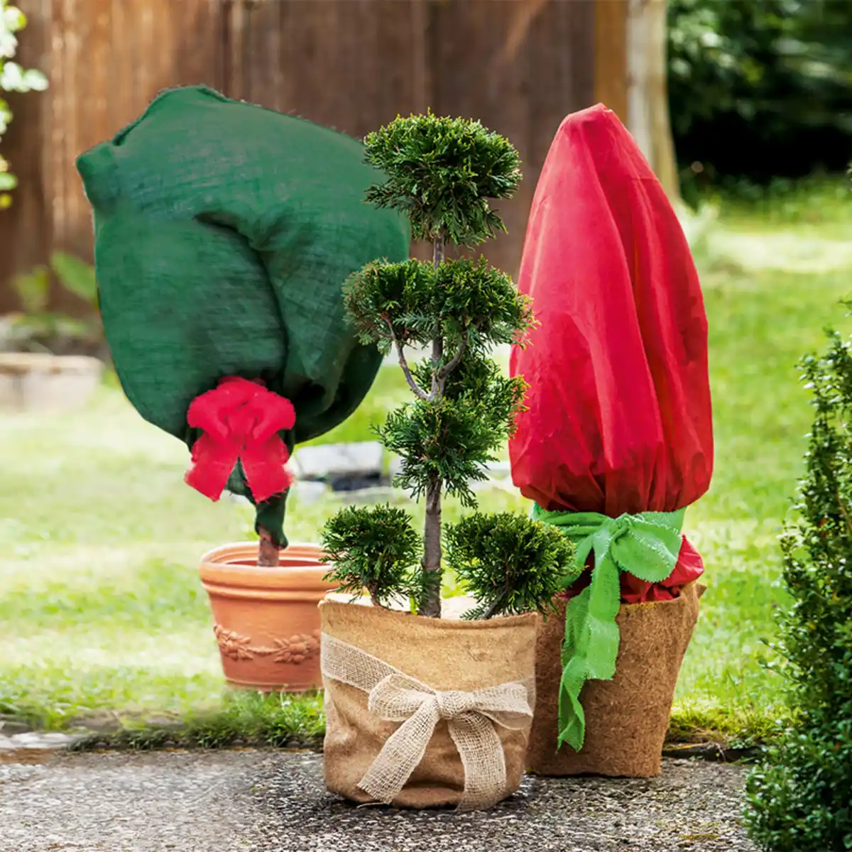 Bild 1 von Powertec Garden Winter-Pflanzenschutz