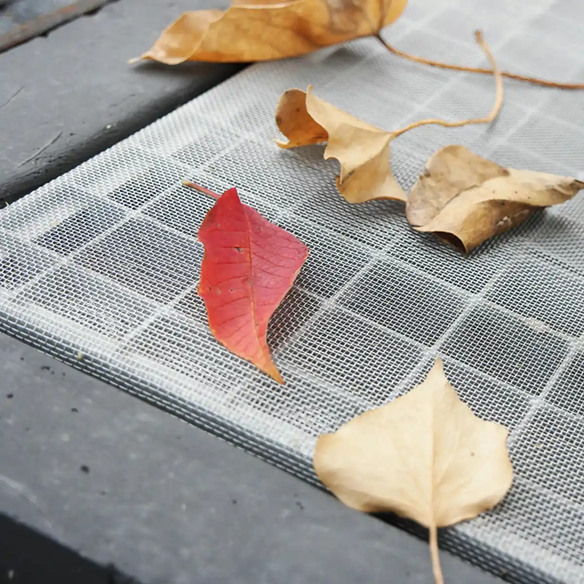 Bild 1 von Powertec Garden Aluminium-Lichtschachtnetz