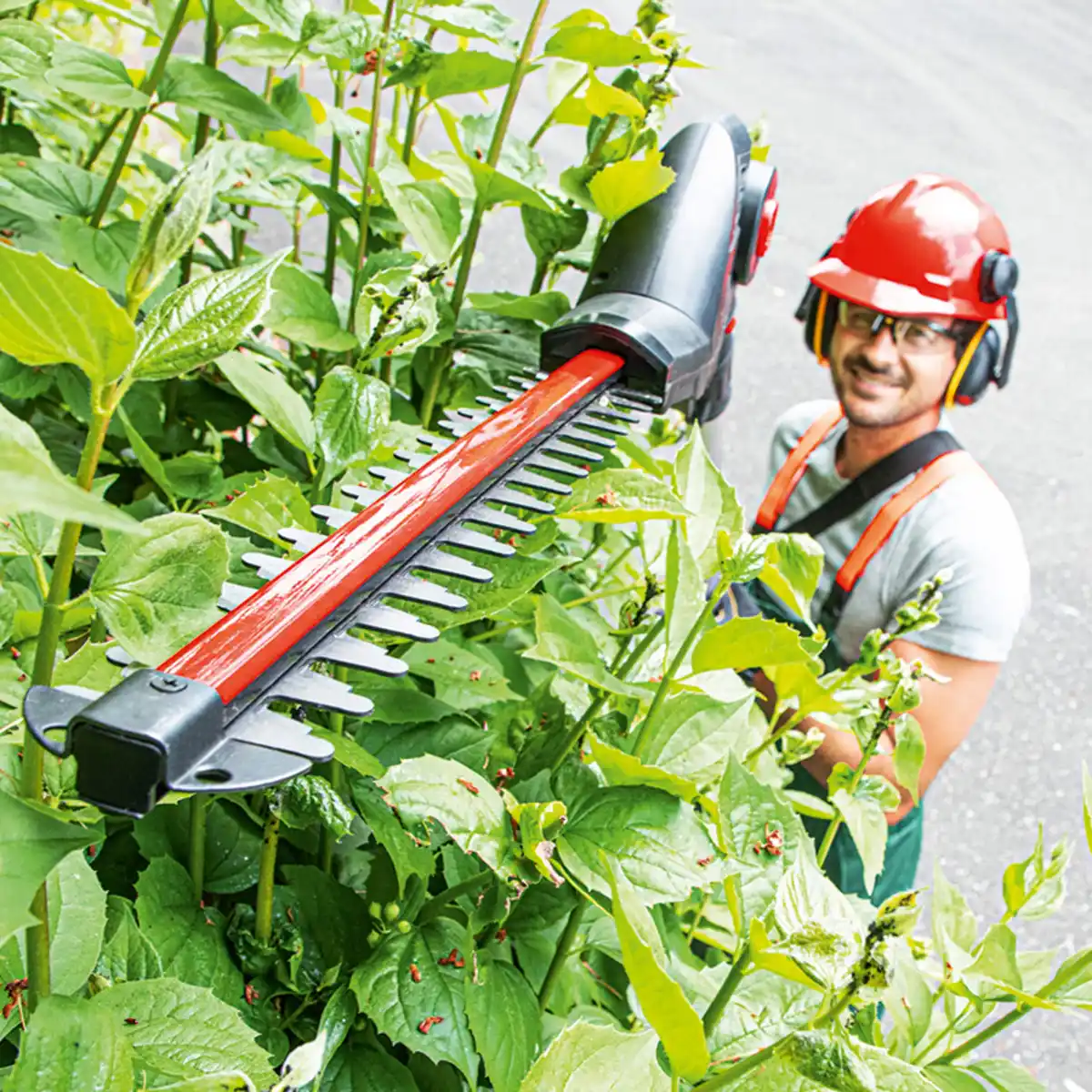 Bild 2 von Walter Li-Ion Akku-Hochentaster /-Heckenschere 2in1